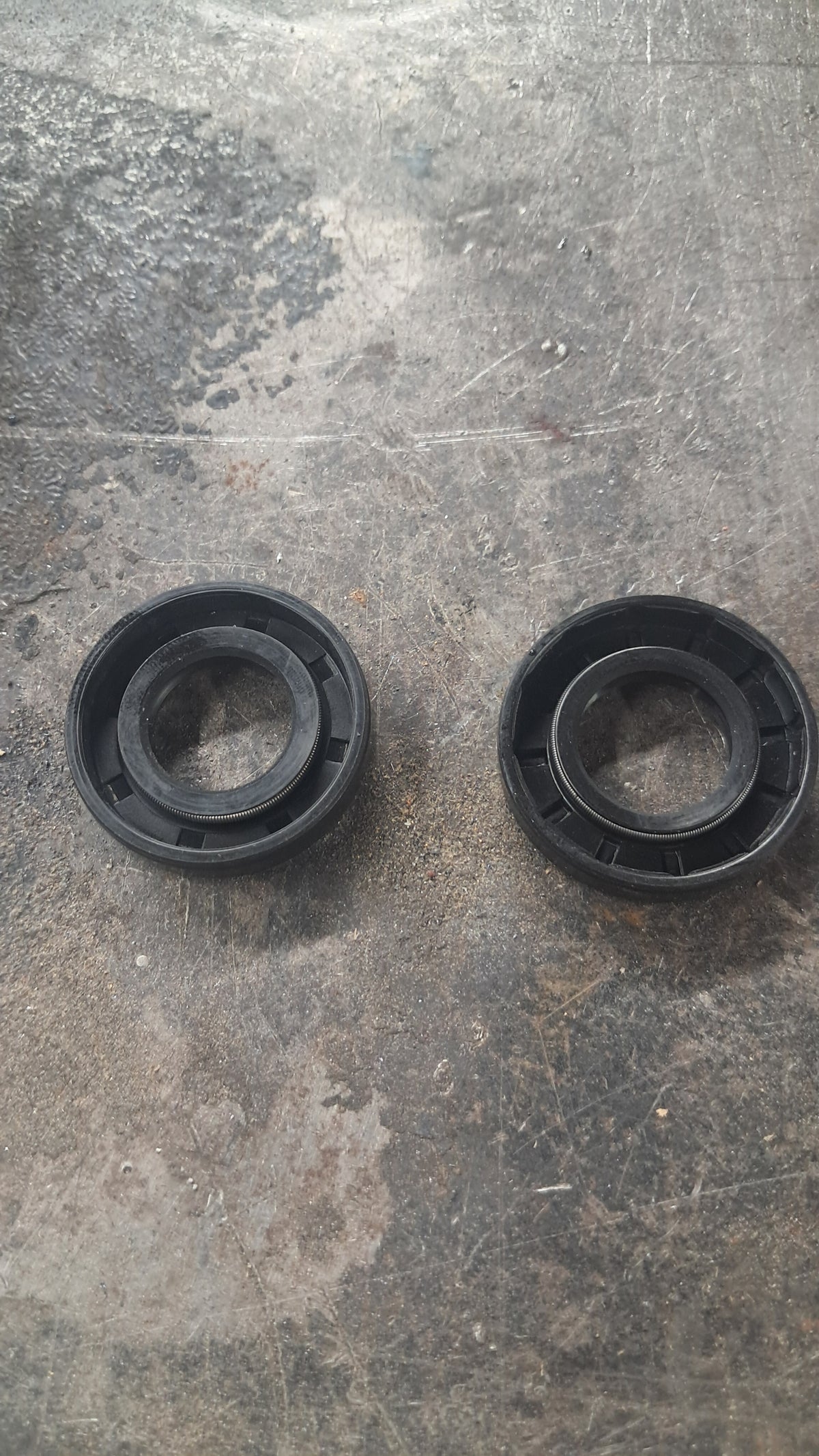 Motor seal (Free shipping)