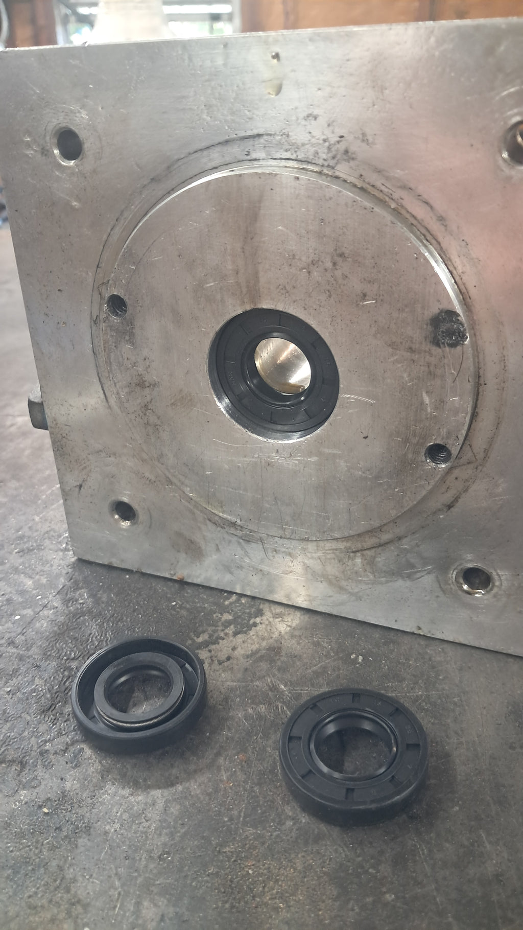 Motor seal (Free shipping)