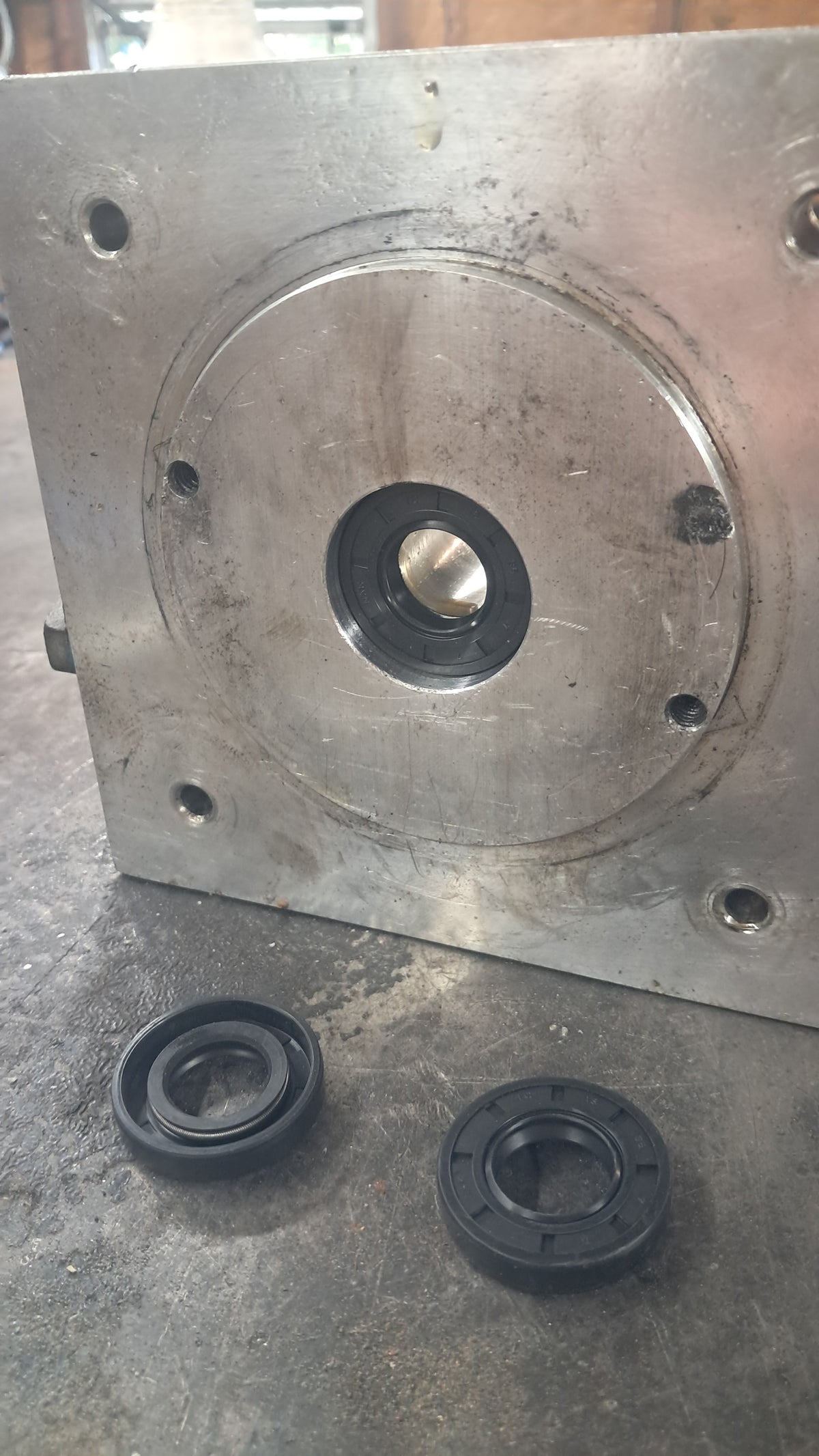 Motor seal (Free shipping)